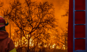 wildfire safety New York state